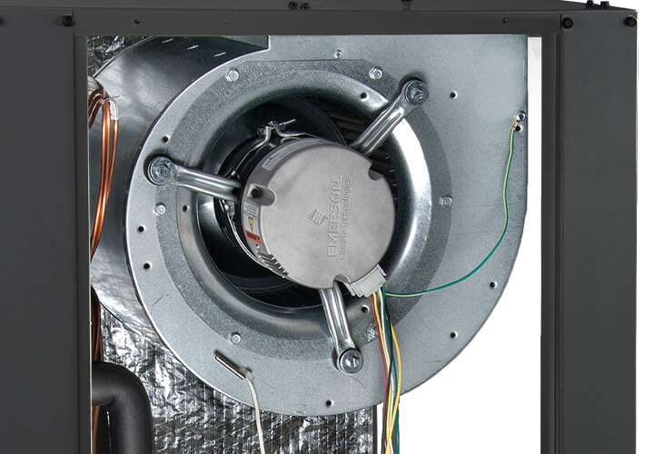 Tranquility 24 (SY) Compact Two-Stage Series: Close Up Look - Blower Motor