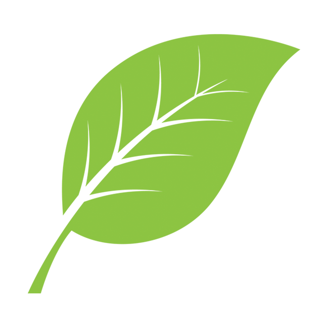 Picture of a leaf symbolizing sustainability of geothermal heating and cooling